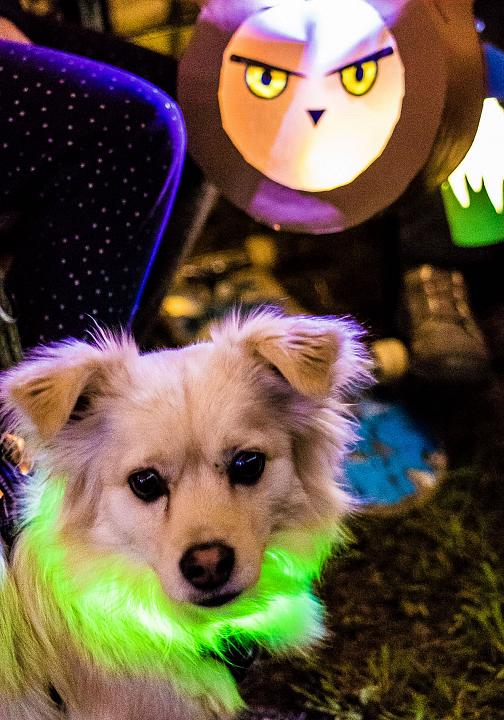 Bild: 20251115-192559.jpg